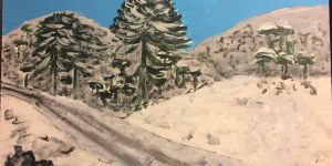 El pehuén inspira: cuatro artistas de Villa Pehuenia Moquehue y su vínculo con la araucaria